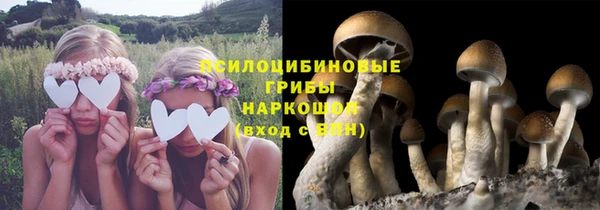 каннабис Белокуриха