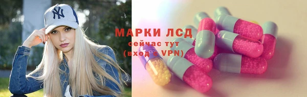 стаф Беломорск