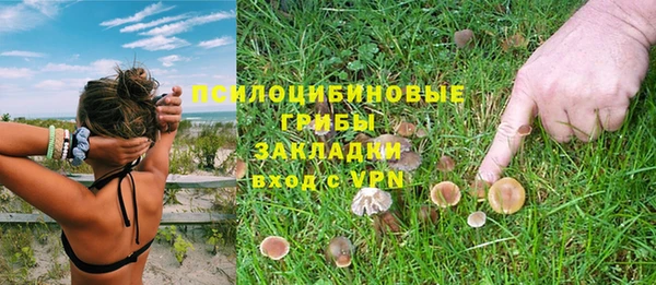 каннабис Белокуриха