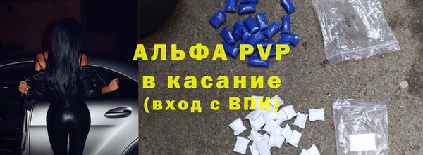 стаф Беломорск