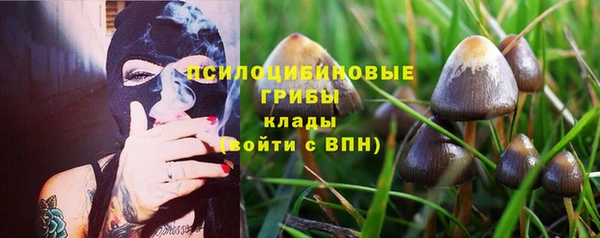 каннабис Белокуриха