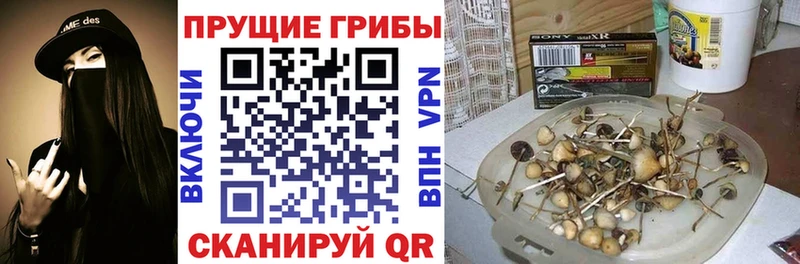 даркнет клад  Котлас  Галлюциногенные грибы ЛСД  даркнет сайт 